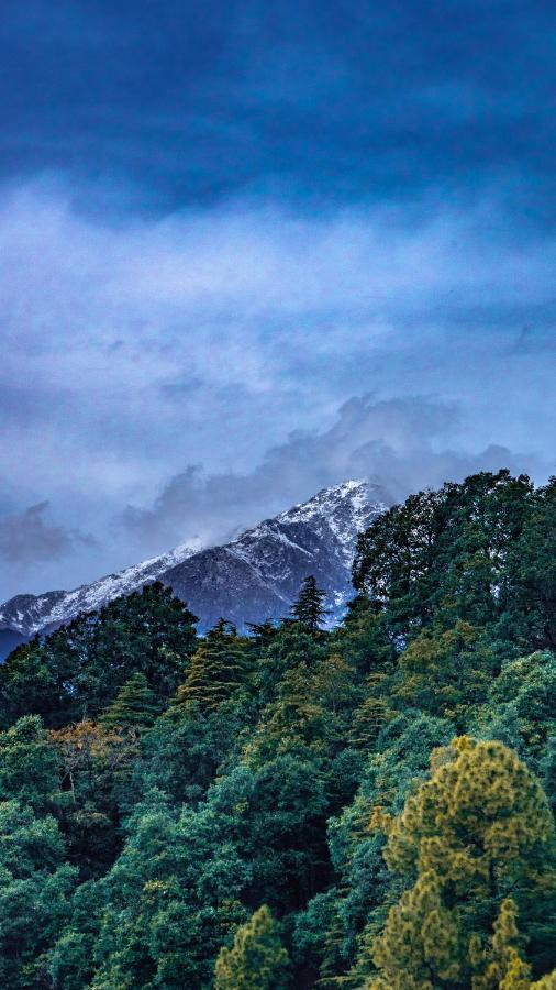 Jot Eco Boutique Stays Дармсала Экстерьер фото